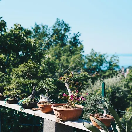 La Torretta לריצ'י